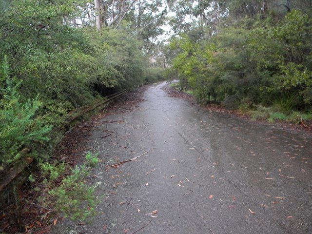 Remains of the raceway at Catalina Park, Katoomba. Its construction meant the end of the Aboriginal settlement